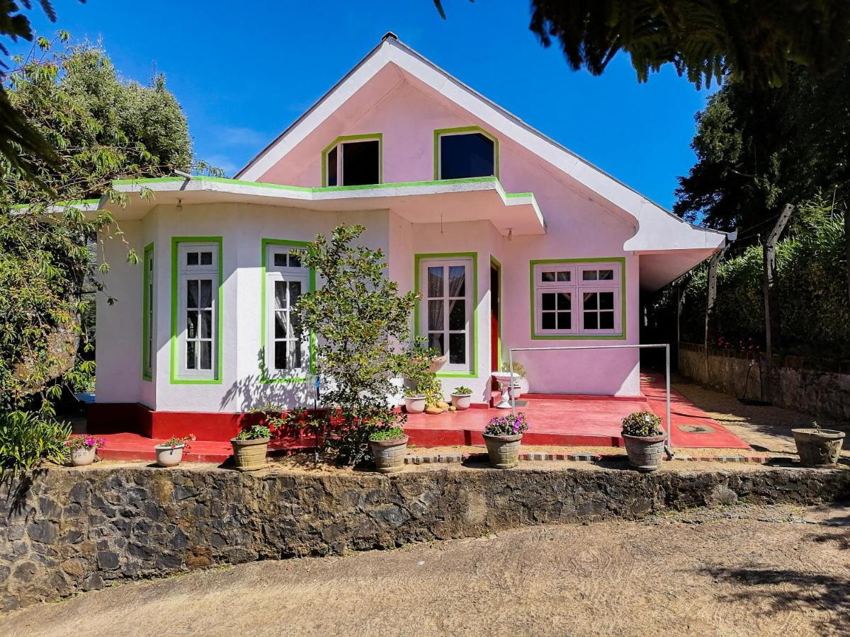 Nuwara Eliya Mountain View Homestay Kültér fotó