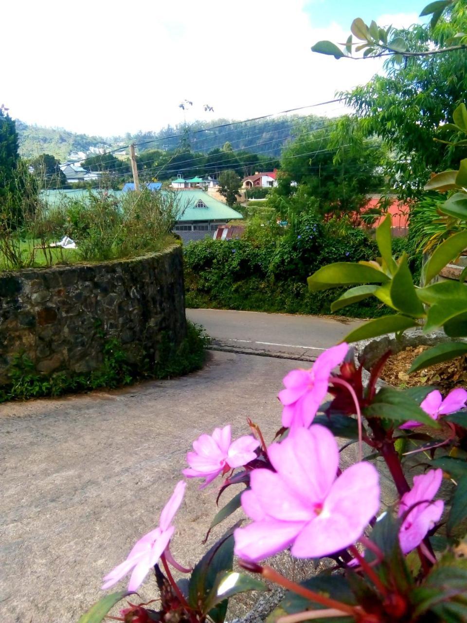 Nuwara Eliya Mountain View Homestay Kültér fotó