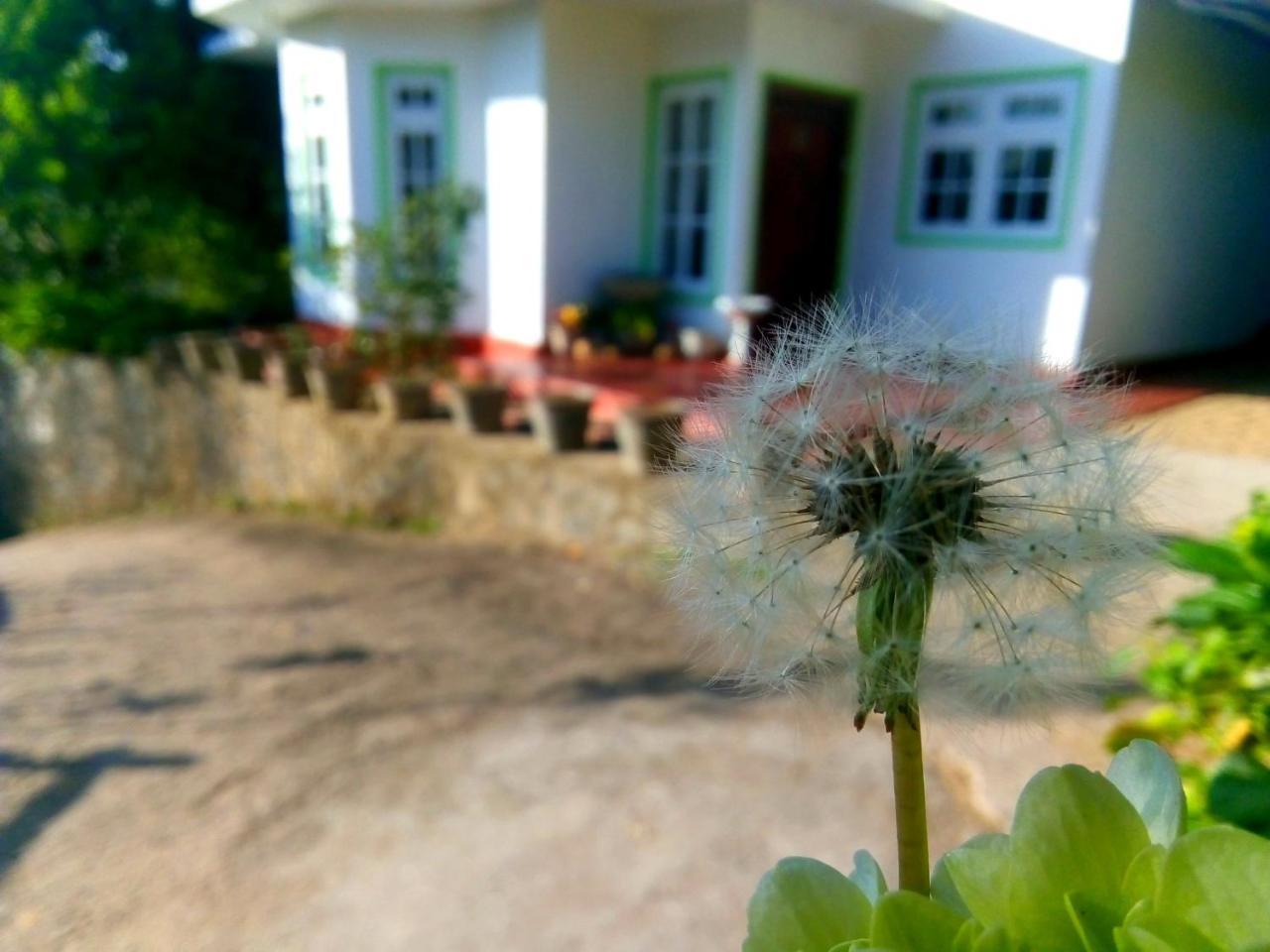 Nuwara Eliya Mountain View Homestay Kültér fotó