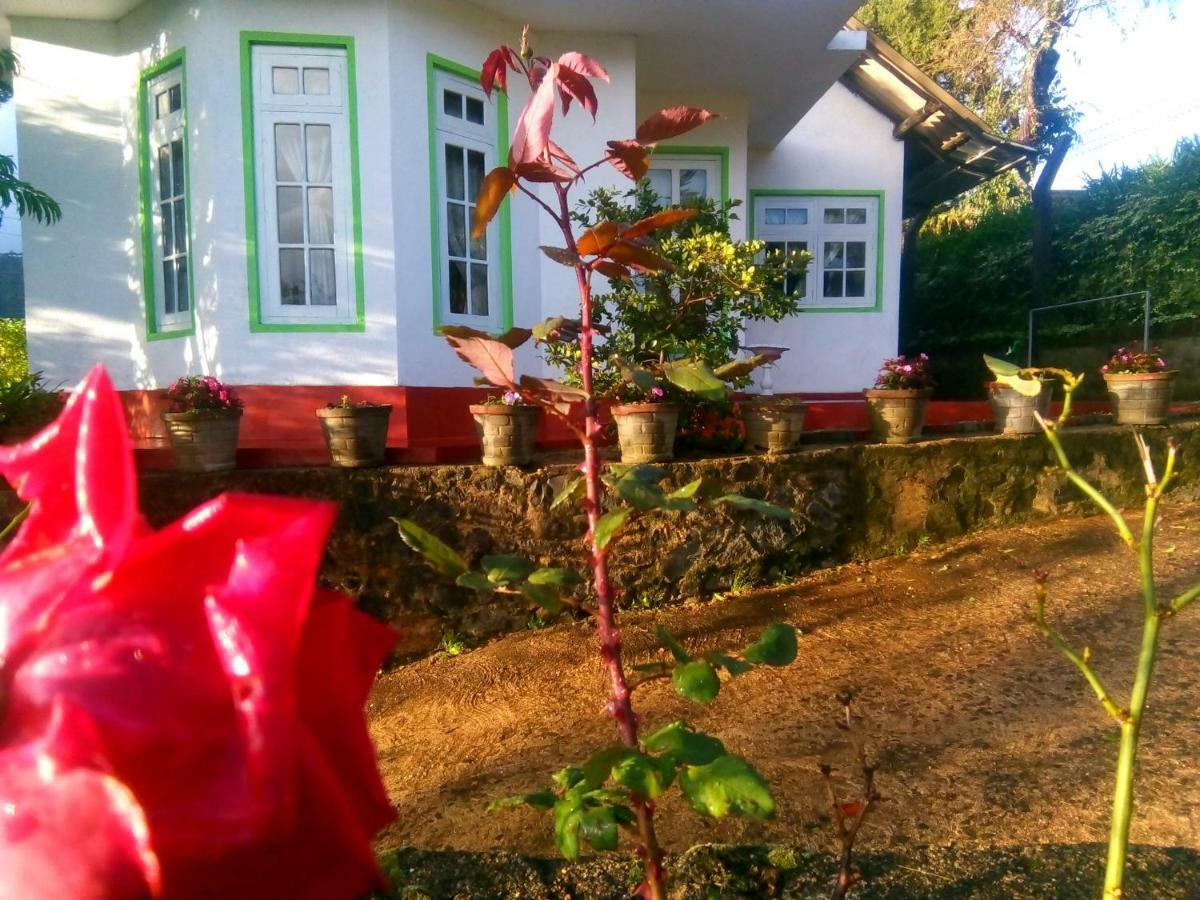 Nuwara Eliya Mountain View Homestay Kültér fotó